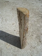 maple firewood