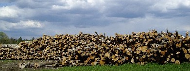 firewoodstorage firewoodstorage